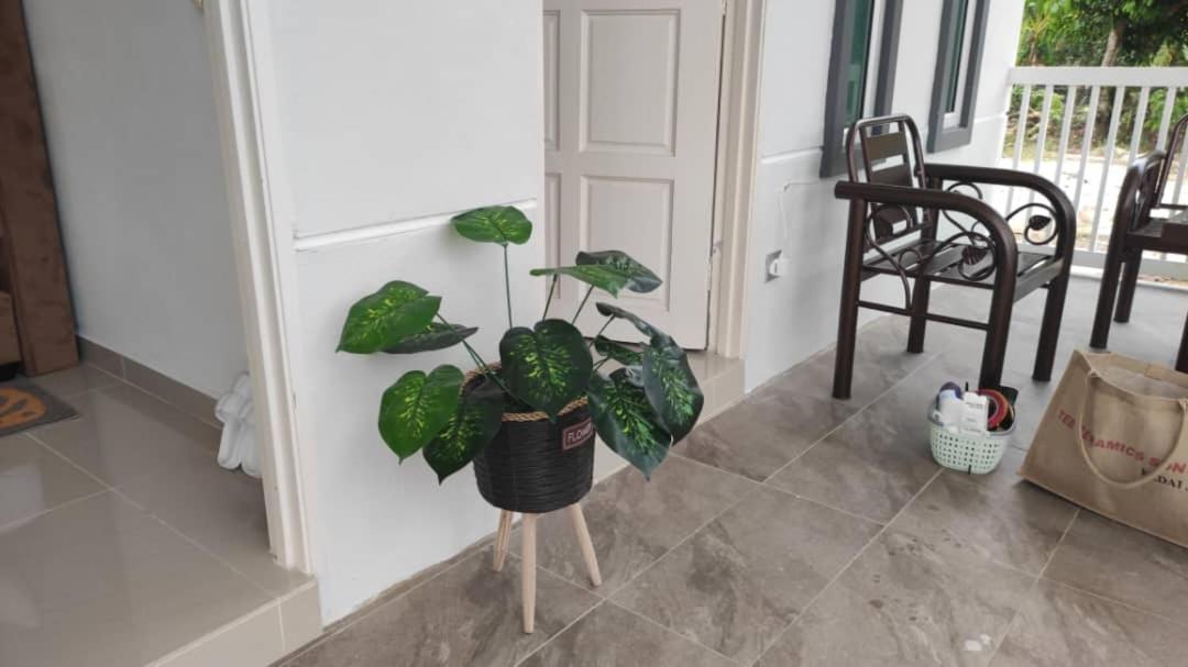 D'Lamar Homestay Pendang Bagian luar foto
